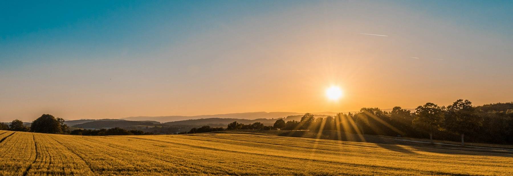Open farmland at sunset in regional New South Wales.